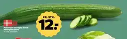 Netto Pedersens udvalgte dansk økologisk agurk, DKK 12 tilbud