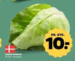 Netto Dansk spidskål, DKK 10 tilbud