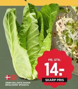 MENY GRØN BALANCE DANSK ØKOLOGISK SPIDSKÅL., DKK 14 tilbud