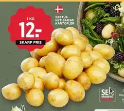 MENY GESTUS NYE SAMSØ KARTOFLER, DKK 12 tilbud