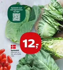 Kvickly Spidskål med estragoncreme og rejer tilbud