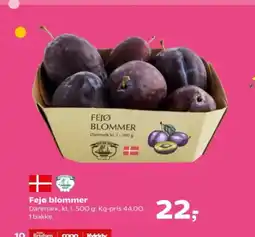 Kvickly Fejø blommer tilbud