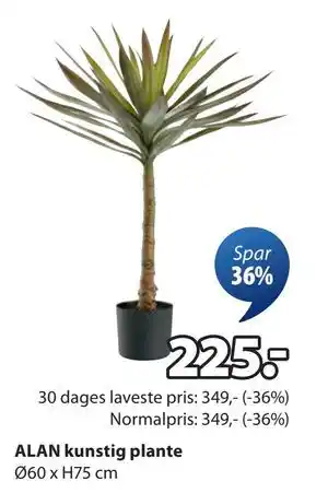 JYSK ALAN kunstig plante, DKK 225 tilbud