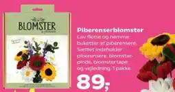 Kvickly Piberenserblomster tilbud