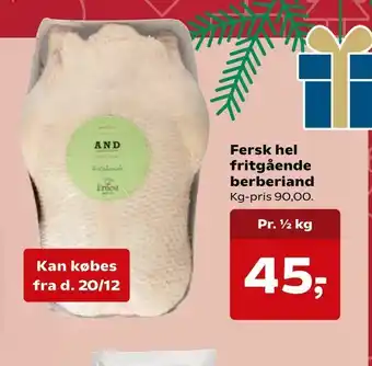 Fersk hel fritgående berberiand