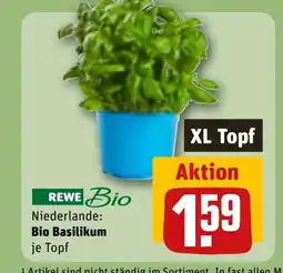 REWE DE Bio Basilikum tilbud