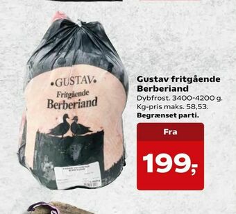 Kvickly Gustav fritgående Berberiand tilbud