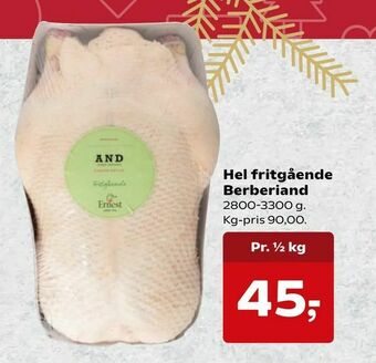 Hel fritgående Berberiand