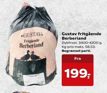 SuperBrugsen Gustav fritgående Berberiand tilbud