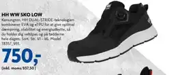 Davidsen HH WW SKO LOW tilbud