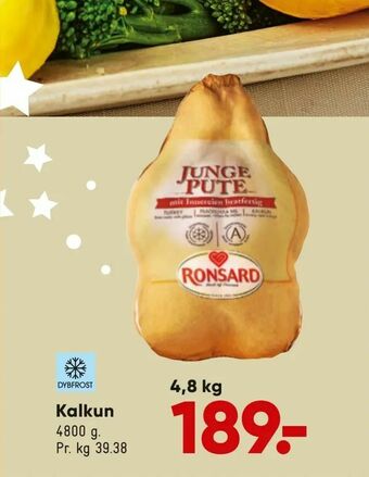 Bilka Kalkun tilbud