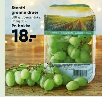 Bilka Stenfri grønne druer tilbud