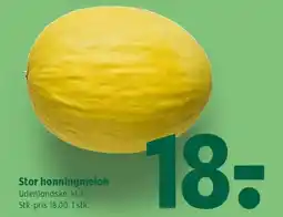 Coop 365 Stor honningmelon tilbud