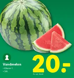 Lidl Vandmelon tilbud