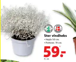 Lidl Stor vindheks tilbud