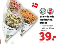 Lidl Brændende kærlighed buket tilbud