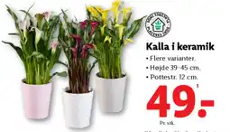 Lidl Kalla i keramik tilbud
