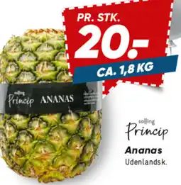 Bilka Ananas tilbud