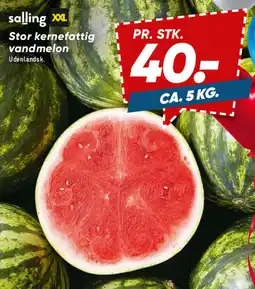 Bilka SALLING Stor kernefattig vandmelon tilbud