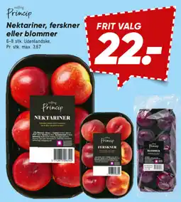 Bilka Nektariner, ferskner eller blommer tilbud