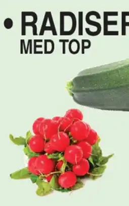 ABC Lavpris Radiser tilbud