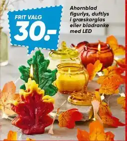 Bilka Ahornblad figurlys, duftlys i græskarglas eller bladranke med LED, DKK 30 tilbud