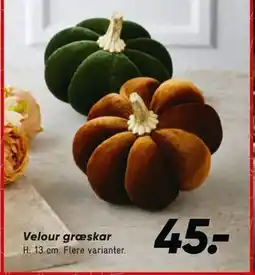 Bilka Velour græskar, DKK 45 tilbud