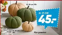 Bilka Plys græskar tilbud