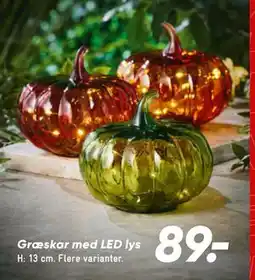 Bilka Græskar med LED lys, DKK 89 tilbud