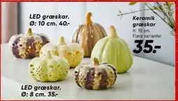 Bilka LED græskar, DKK 40 tilbud