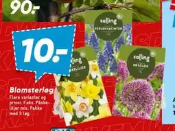 Bilka Blomsterløg, DKK 10 tilbud