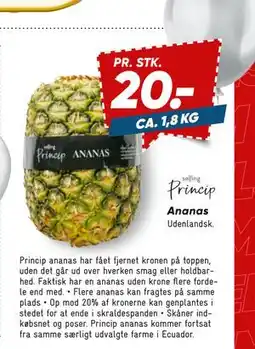 Bilka Ananas, DKK 20 tilbud
