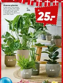 Bilka Grønne planter, DKK 25 tilbud