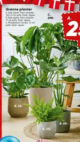 Bilka Grønne planter, DKK 299 tilbud