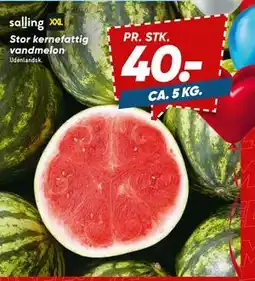 Bilka Stor kernefattig vandmelon, DKK 40 tilbud