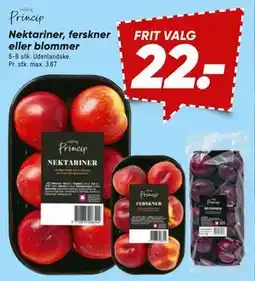 Bilka Nektariner, ferskner eller blommer, DKK 22 tilbud