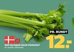 Netto ØGO økologisk dansk bladselleri, DKK 12 tilbud