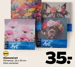 Netto Diamond art, DKK 35 tilbud