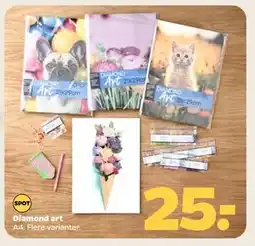 Netto Diamond art, DKK 25 tilbud
