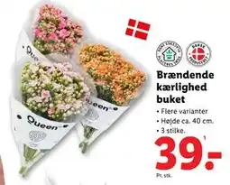 Lidl Brændende kærlighed buket, DKK 39 tilbud