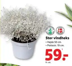 Lidl Stor vindheks, DKK 59 tilbud