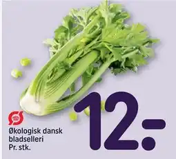 REMA 1000 Økologisk dansk bladselleri Pr. stk., DKK 12 tilbud