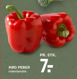 MENY RØD PEBER, DKK 7 tilbud