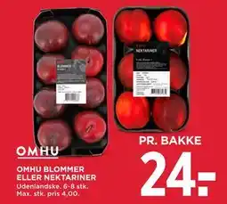 MENY OMHU BLOMMER ELLER NEKTARINER, DKK 24 tilbud