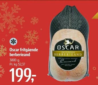 Oscar fritgående berberieand