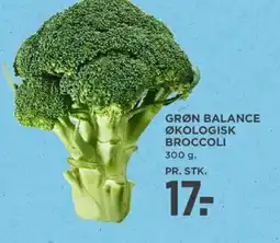 MENY Grøn balance økologisk broccoli tilbud