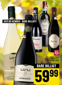 Løvbjerg Lu'li, amicale, poggio siresa valpolicella el. côtes du rhône xavier tilbud