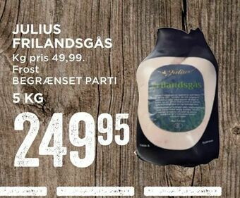 Julius frilandsgås