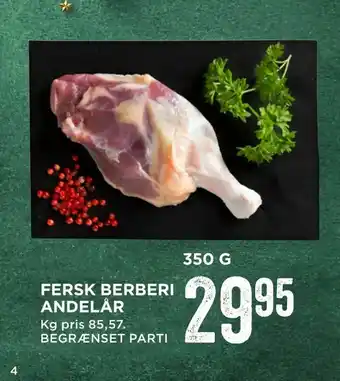 Fersk berberi andelår