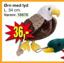 Harald Nyborg Ørn med lyd, DKK 36 tilbud